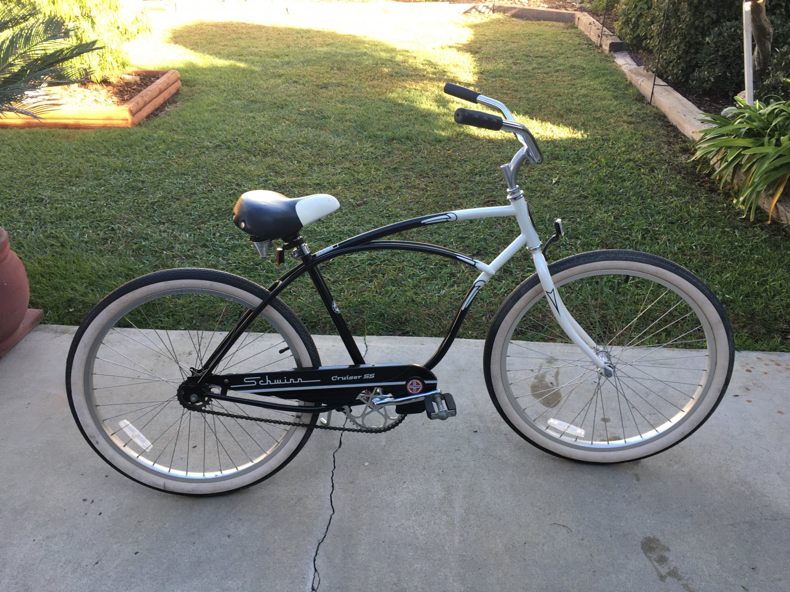 Schwinn store cruiser ssx