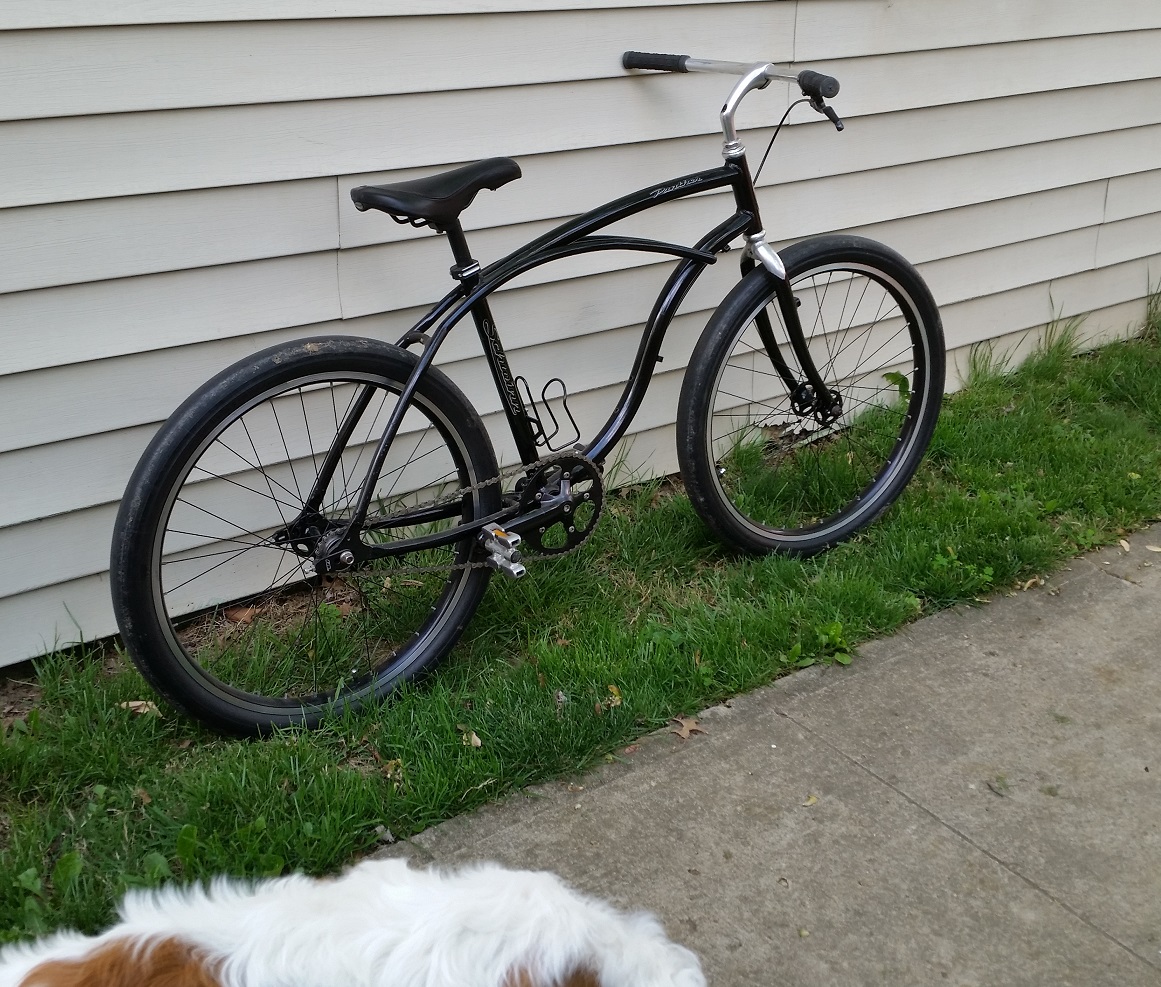 Naked Panther Rat Rod Bikes Bicycle Forum