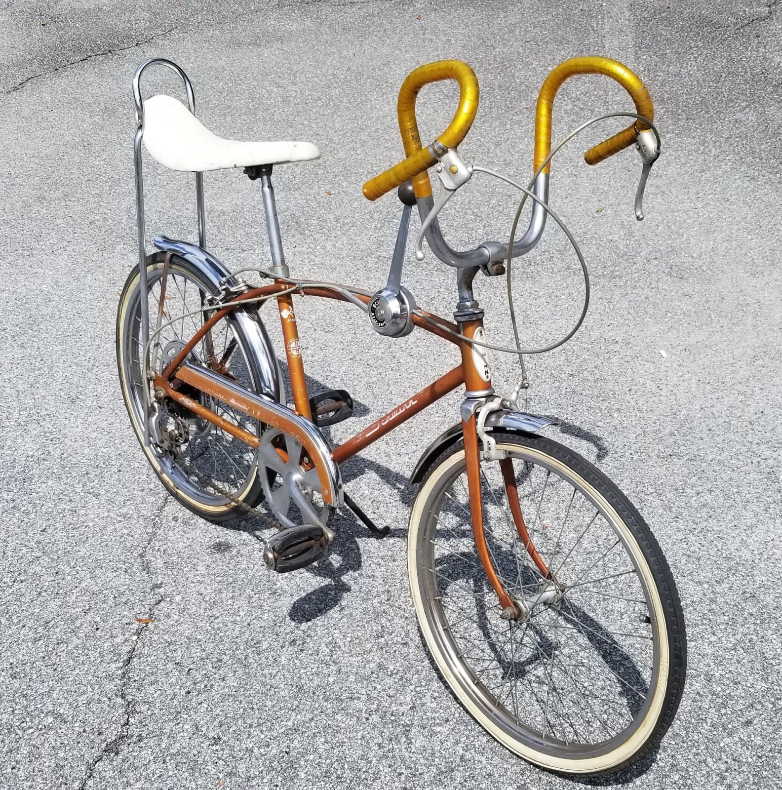 schwinn ramshorn