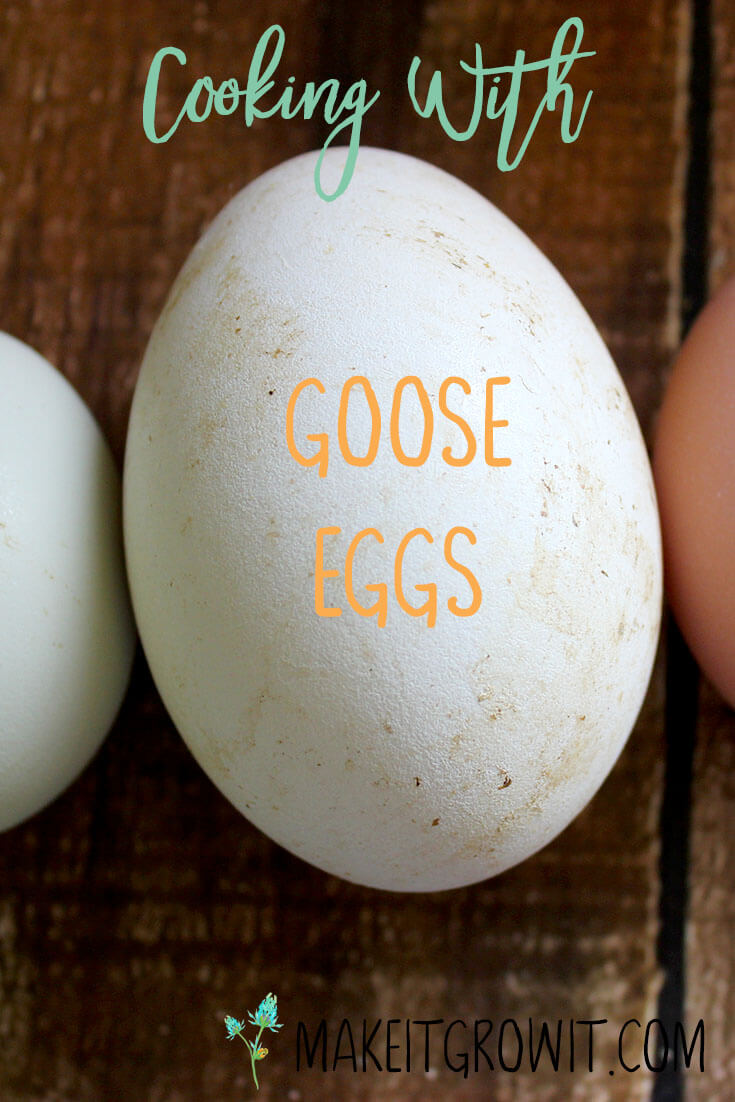 cooking_goose_eggs-2.jpg