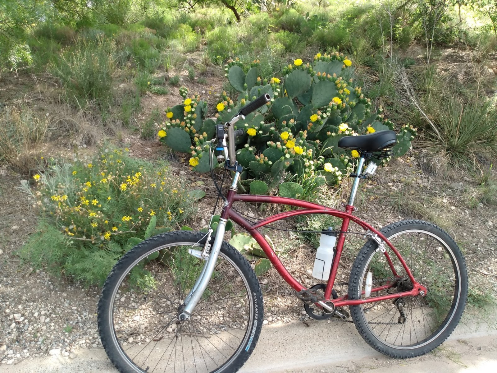 santa fe beach cruiser